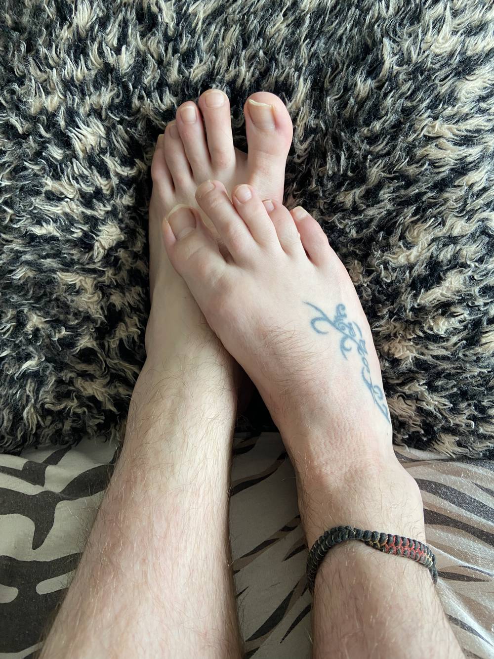 Scottish Fab Feet